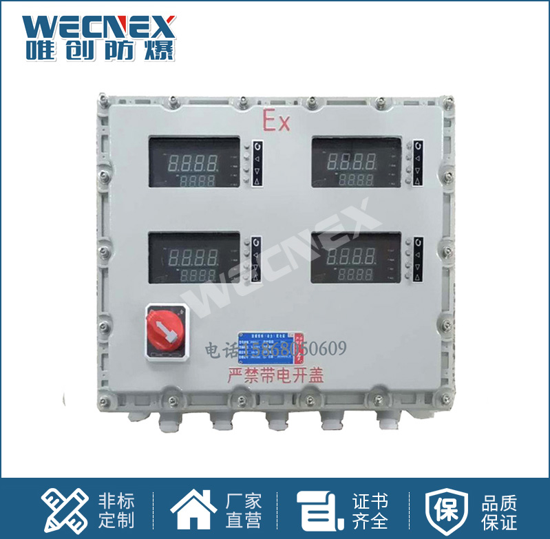 BXK 防爆儀表箱