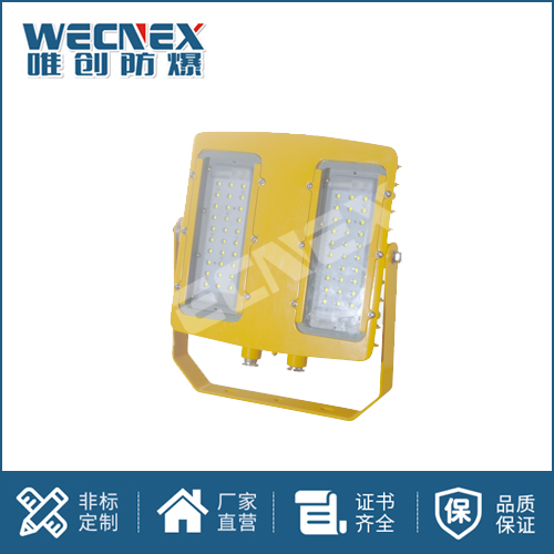 免維護防爆燈DFC-8116 