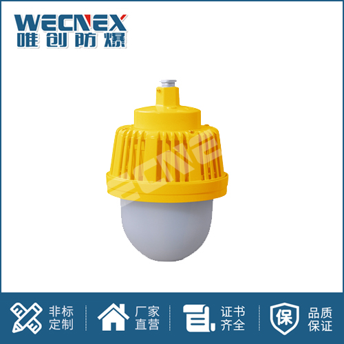 免維護防爆燈DFC-8765B 