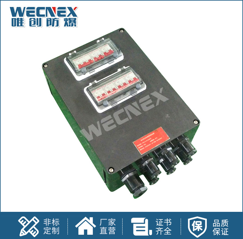 FXM防水防塵防腐配電箱 工程塑料材質